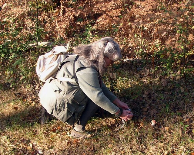 2007 10 Bois de Rochefort 13